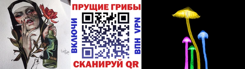 Псилоцибиновые грибы прущие грибы  Кулебаки 